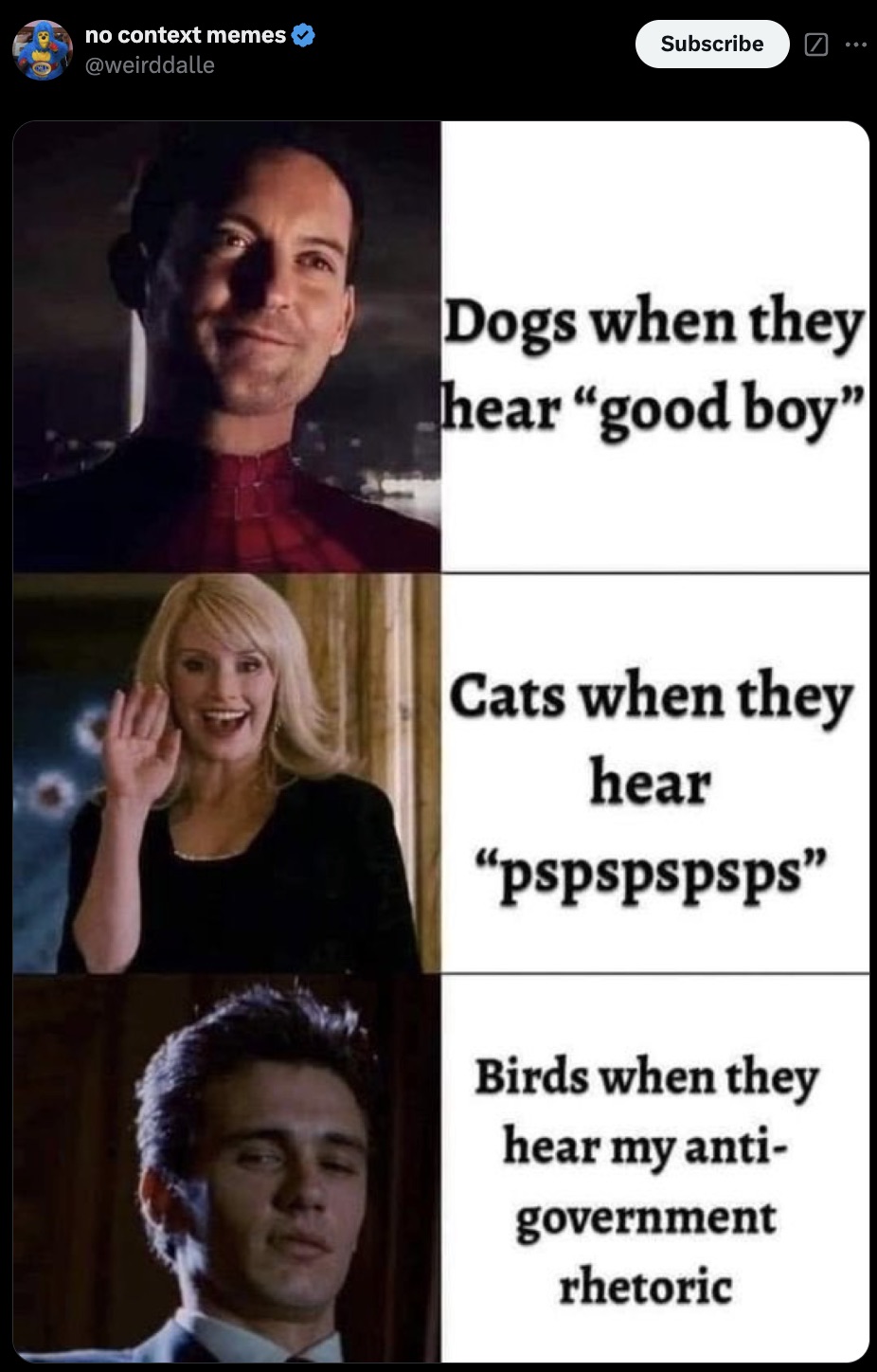 Internet meme - no context memes Subscribe ... Dogs when they hear "good boy" Cats when they hear "pspspspsps" Birds when they hear my anti government rhetoric